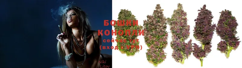 Где купить Рыбинск А ПВП  Codein  Мефедрон  АМФ  ГАШИШ  Cocaine 