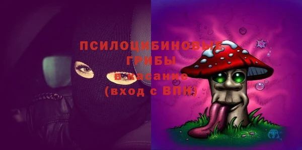 индика Магадан