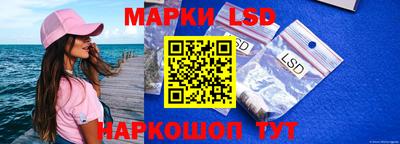 гашик Гусев