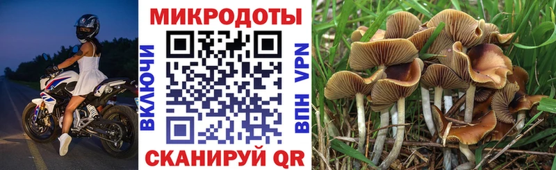 Галлюциногенные грибы Psilocybine cubensis  как найти наркотики  Рыбинск 