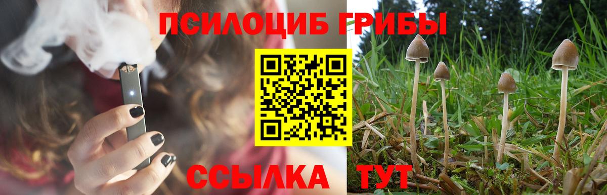 Псилоцибиновые грибы мицелий  Вход с VPN  Рыбинск 